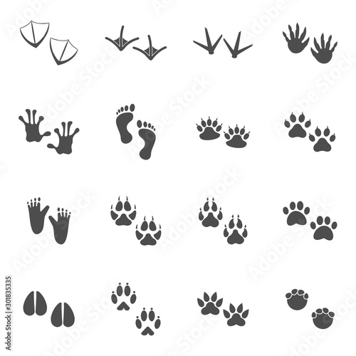 animals footprint icon vector design symbol © trimulyani