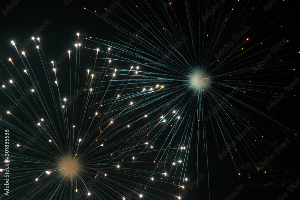 Fototapeta premium Firework Display Lighting up the Dark Sky