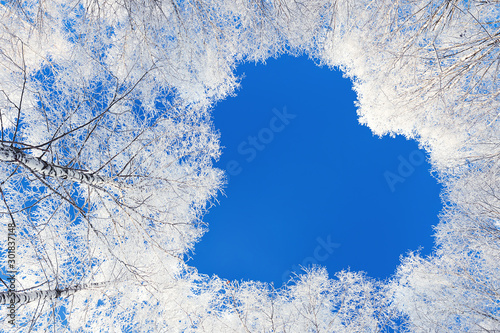 beautiful winter landscape with forest and blue sky