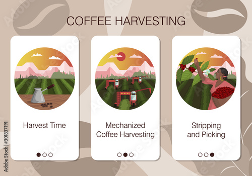 Set of mobile app pages of service company about methods of harvesting coffee on plantations