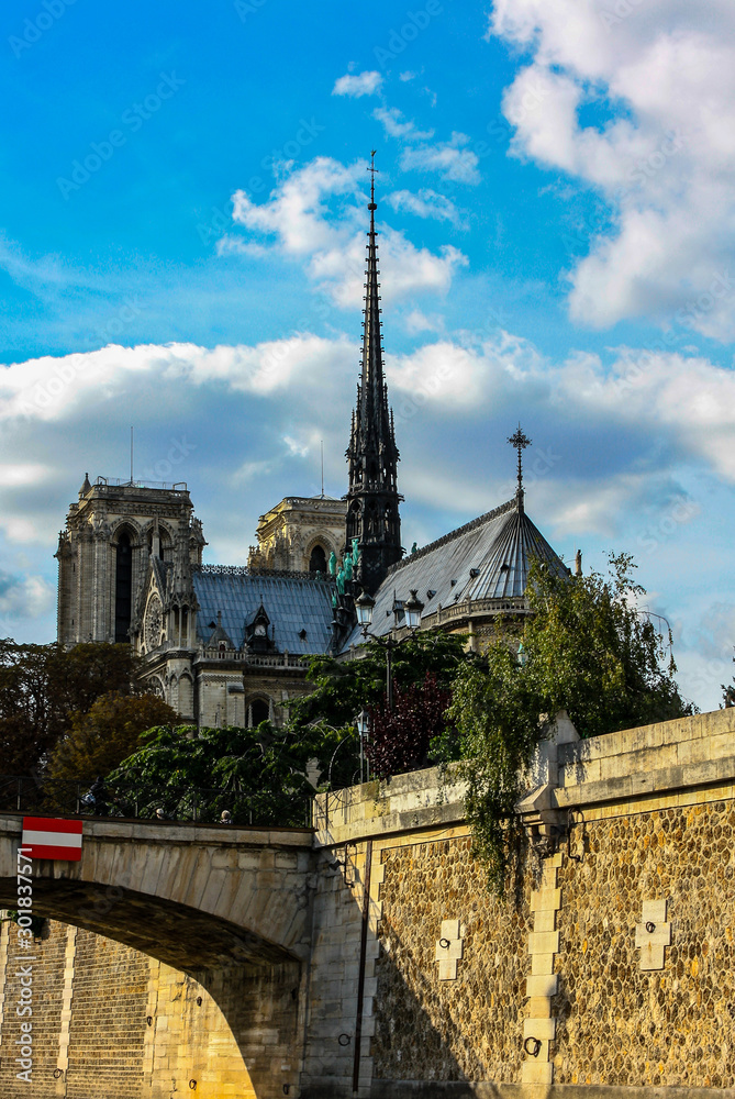 Notre-Dame de Paris from Seine river. Backside view.