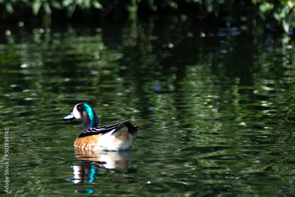 Fototapeta premium Mar del Plata - Buenos Aires - Argentina 
