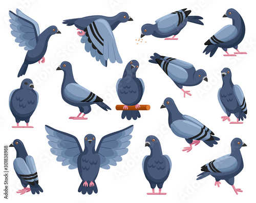 Pigeon of peace cartoon vector illustration on white background Fotobehang
