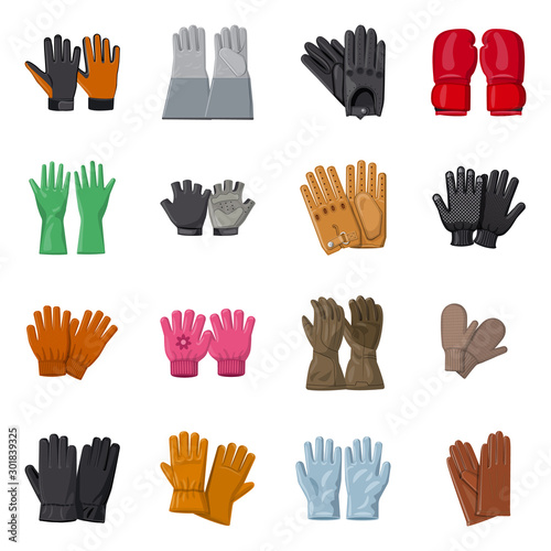 Vector design of glove and winter icon. Set of glove and equipment stock symbol for web.