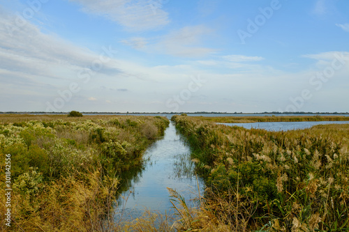 Stream river on a wetlands autumn landscape in La Camargue  France