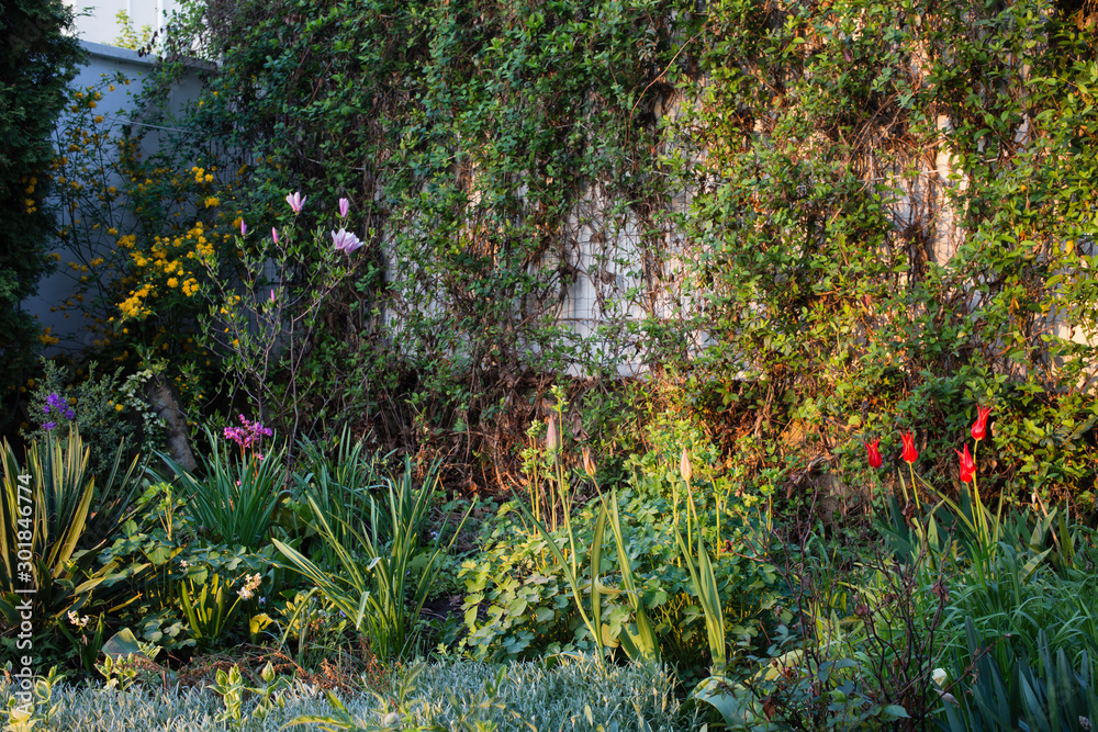 Obraz premium First rays of the sun.