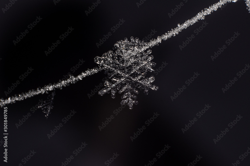 Fototapeta premium snow on black background