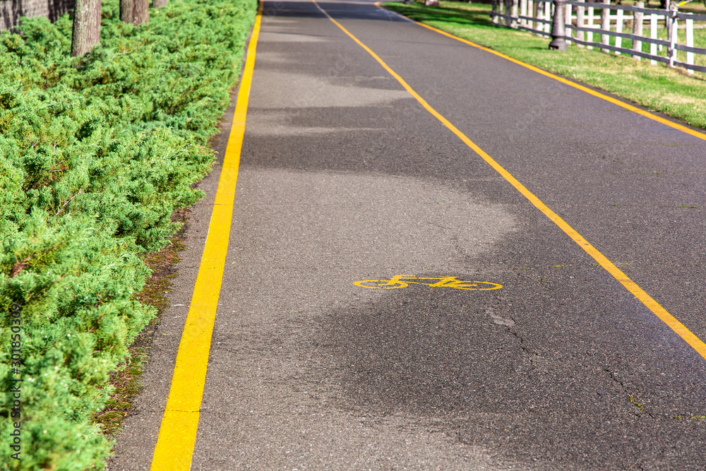Φωτογραφία asphalt road with a bicycle symbol and a marked lane with yellow markings for the movement of bicycles with bushes and green grass on the roadside on a sunny day after rain