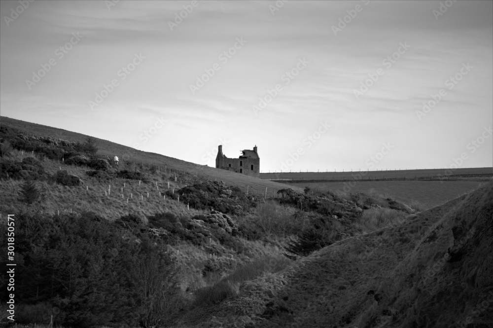 Obraz premium house on the hill