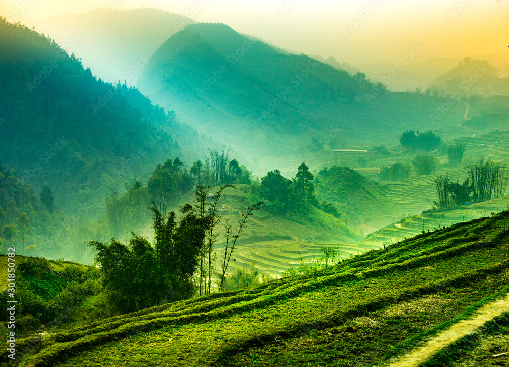 Vibrant landscapes of rice paddy terraces in fog. Sapa, Vietnam
