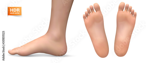 3d illustration,vector foot volume, health and shoe selection