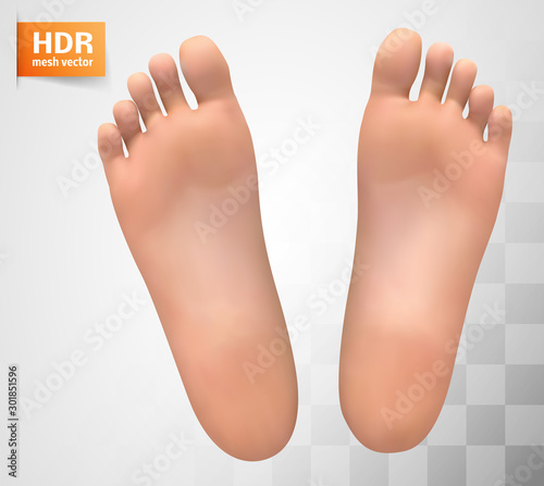 3d illustration,vector foot volume, health and shoe selection
