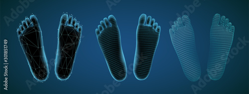 3d illustration,vector foot volume, health and shoe selection