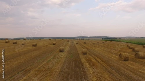 Flight over crop wheat or rye field with stook hay straw bales. Harvest agriculture farm rural aerial 4k video background. Bread production concept. photo