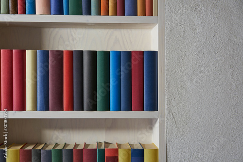 Accurate bookshelf with colorful book covers in a white wall
