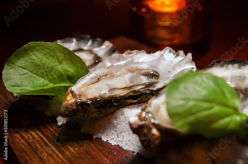 Fresh oysters brunch