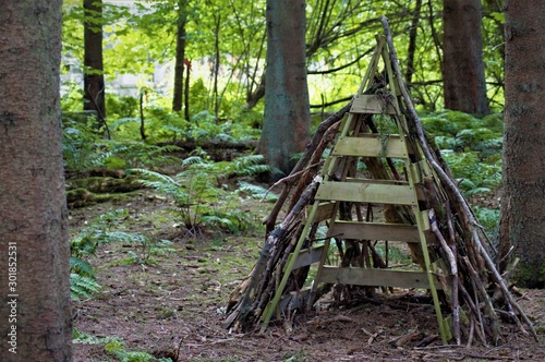 wooden shelter in the forest