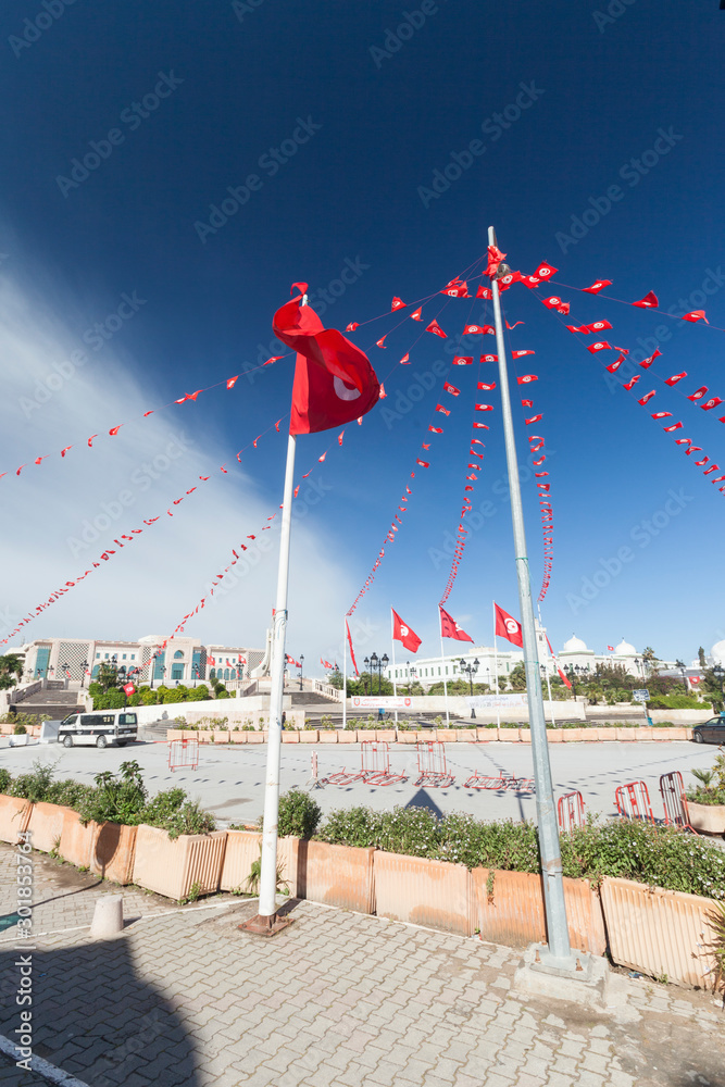 Fototapeta premium palazzo del governo a tunisi