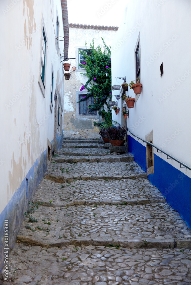 NB__8399 Cobble stone street in Obidos Portugal