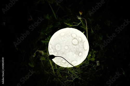 full moon in the sky