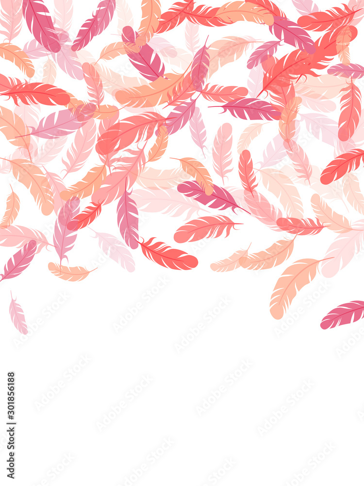 Detailed majestic feather on white design. Detailed majestic feather on white design.
