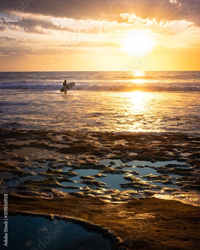 Fototapeta Naklejka Na Ścianę i Meble -  Surfer in sunlight