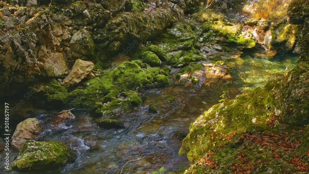 Mountain stream flows through a canyon of moss-covered stones. Crystal clear water. Fall in Julian Alps, Slovenia. Relax and meditation concept Mountain stream flows through a canyon of moss-covered stones. Crystal clear water. Fall in Julian Alps, Slovenia. Relax and meditation concept