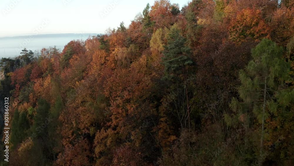 Aerial view above autumn coloured woodland to view across Wioska, Poland community housing misty, foggy landscape scene. Aerial view above autumn coloured woodland to view across Wioska, Poland community housing misty, foggy landscape scene.