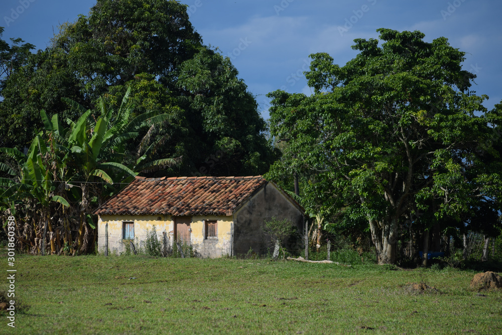 abandoned old house in the countryside with cloudy blue sky