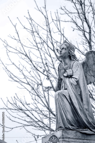 statue of angel in cemetery © Tatiana