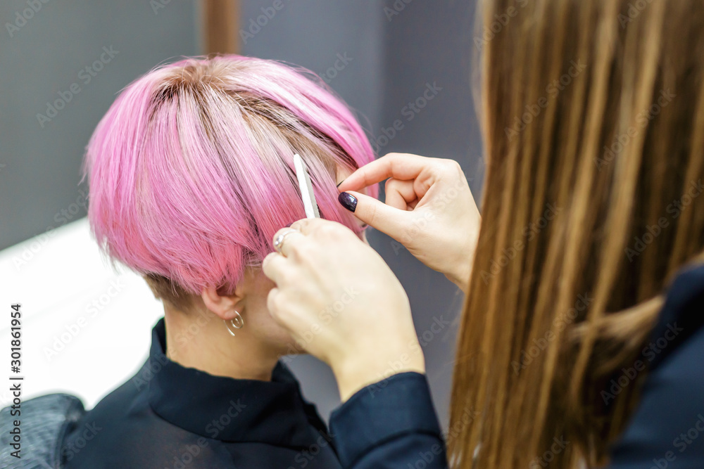 Fototapeta premium Female hairdresser is combing short pink hair of woman in beauty salon.