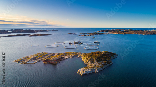 Photography Salmon fish farm. Hordaland, Norway.