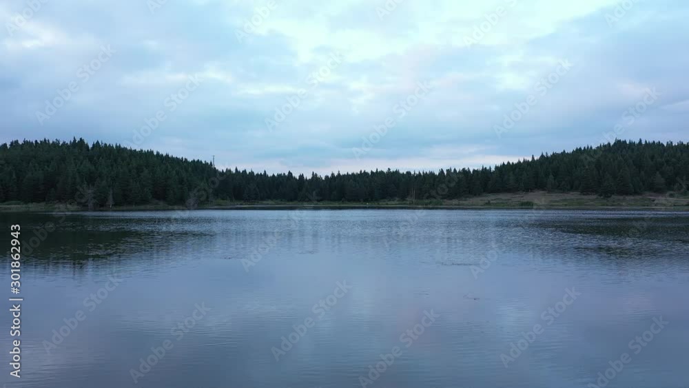 Beauties of nature, lake trees and tranquility