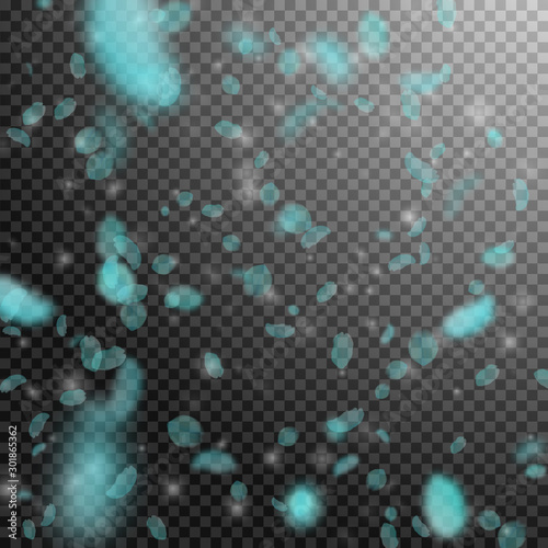Turquoise flower petals falling down. Gorgeous rom