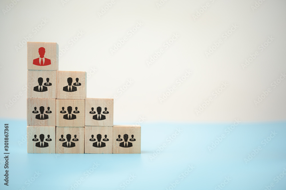human resource management and recruitment business building team, organization and a leader with employees symbolized with cubes. human resource management and recruitment business building team, organization and a leader with employees symbolized with cubes.