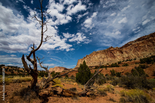 Canyonlands National Park © John