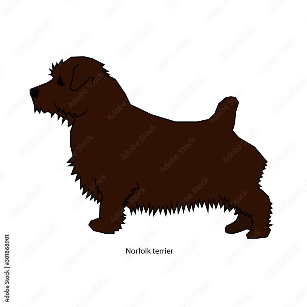 Dog brown vector illustration isolated