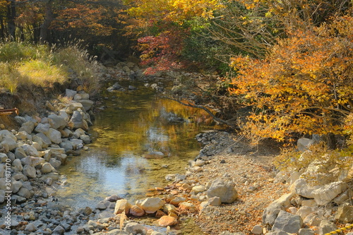 小川に咲く紅葉