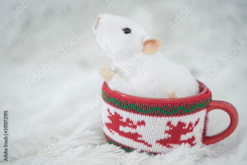 beautiful red mug with trendy sweater on it with white mouse inside. rat as a symbol of the year. nobody. white background.