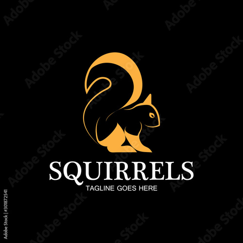 creative squirrel animal logo design icon symbol illustration-vector