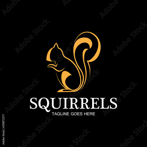 creative squirrel animal logo design icon symbol illustration-vector