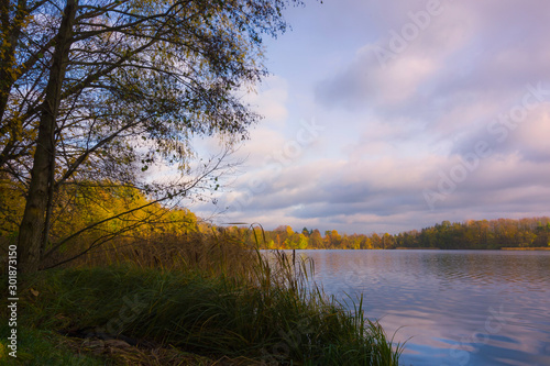 Autumn landscape, reeds and trees and lake before sunset, lit by warm sun, nature, view, plants, blue sky and clouds and water