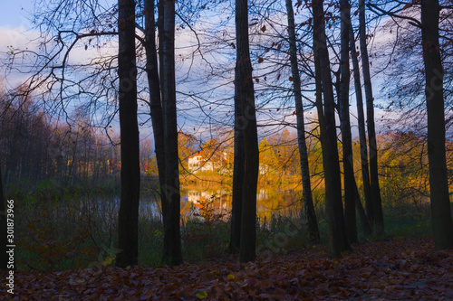 Colorful autumn landscape, reflection of yellow and red leaves of trees and white building in the lake, shore covered with reeds, view through branches