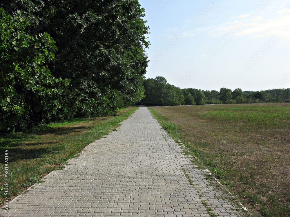 Path Path