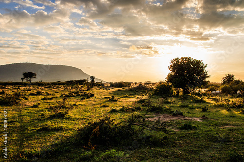 sunrise in Serengeti National Park safari