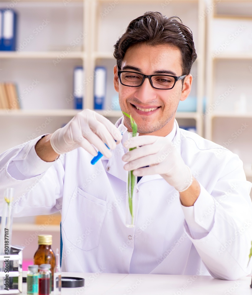 The biotechnology scientist chemist working in lab