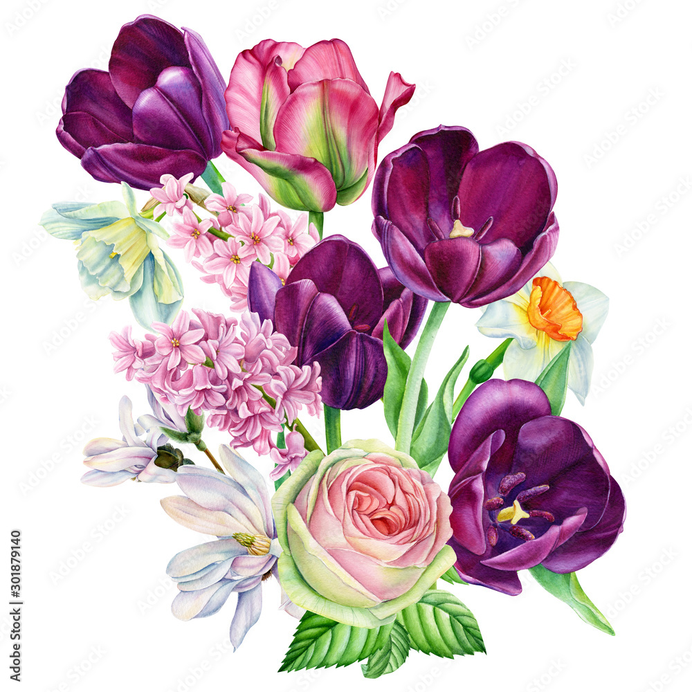 bouquet of spring flowers on an isolated white background, burgundy tulips, rose, magnolia, daffodils, hyacinths, watercolor illustration, botanical painting, hand-drawing bouquet of spring flowers on an isolated white background, burgundy tulips, rose, magnolia, daffodils, hyacinths, watercolor illustration, botanical painting, hand-drawing