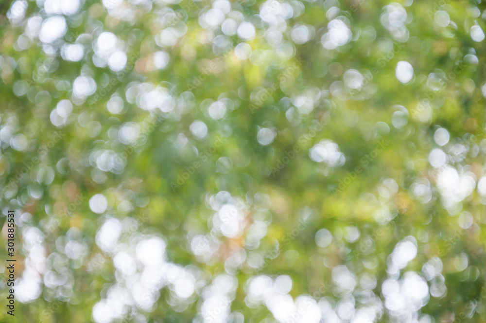 Natural outdoors bokeh in green and yellow tones Natural outdoors bokeh in green and yellow tones