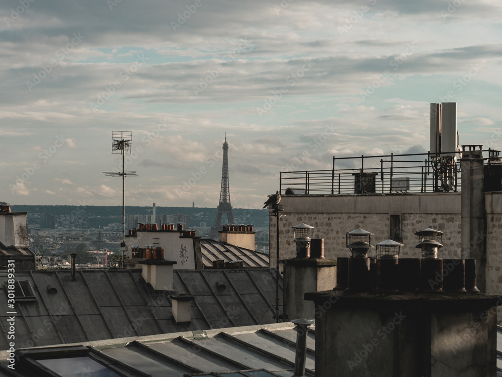 Obraz premium Eiffel Tower Far View