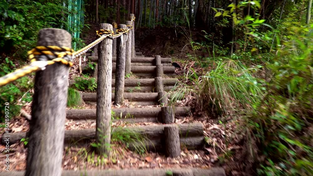 Walking up steps in Wampaku Kingdom nature park, near Osaka, Japan. Walking up steps in Wampaku Kingdom nature park, near Osaka, Japan.